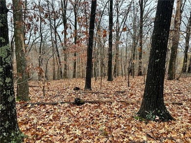 Build your dream home on this beautiful, mostly flat lot in the on Bella Vista - Metfield Golf Complex and Country Club in Arkansas - for sale on GolfHomes.com, golf home, golf lot