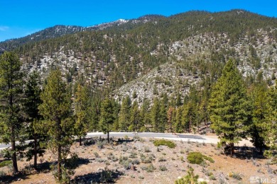 Step into a world of timeless elegance and understated opulence on Clear Creek Tahoe in Nevada - for sale on GolfHomes.com, golf home, golf lot