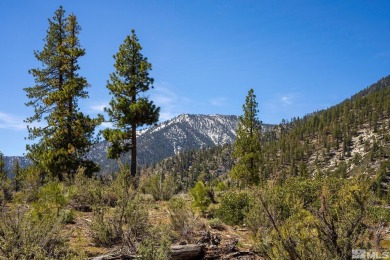 Step into a world of timeless elegance and understated opulence on Clear Creek Tahoe in Nevada - for sale on GolfHomes.com, golf home, golf lot