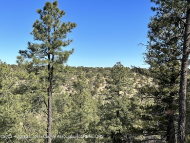 PREMIER ALTO MESA ESTATES-GATED COMMUNITY! This residential on Outlaw Club at Alto Lakes in New Mexico - for sale on GolfHomes.com, golf home, golf lot