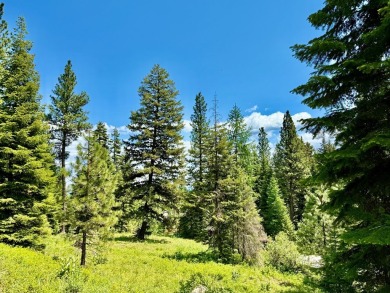 Premier .90-acre estate homesite in the heart of Tamarack Resort on Osprey Meadows at Tamarack Resort in Idaho - for sale on GolfHomes.com, golf home, golf lot