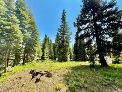 Premier .90-acre estate homesite in the heart of Tamarack Resort on Osprey Meadows at Tamarack Resort in Idaho - for sale on GolfHomes.com, golf home, golf lot