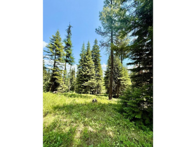Premier .90-acre estate homesite in the heart of Tamarack Resort on Osprey Meadows at Tamarack Resort in Idaho - for sale on GolfHomes.com, golf home, golf lot