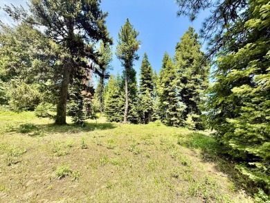 Premier .90-acre estate homesite in the heart of Tamarack Resort on Osprey Meadows at Tamarack Resort in Idaho - for sale on GolfHomes.com, golf home, golf lot