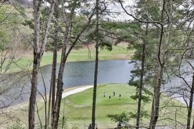 Views of Lake Sconti and Big Canoe golf course! Huge master with on Big Canoe Golf Club - Cherokee in Georgia - for sale on GolfHomes.com, golf home, golf lot