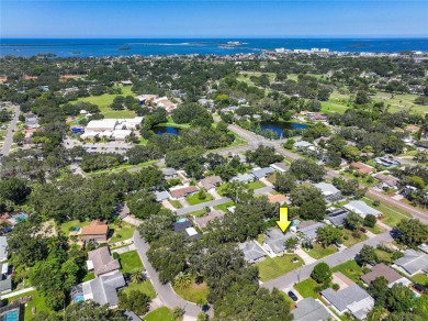 YOUR OWN PERSONAL PRIVATE PARADISE IN DELIGHTFUL DUNEDIN on The Dunedin Country Club in Florida - for sale on GolfHomes.com, golf home, golf lot