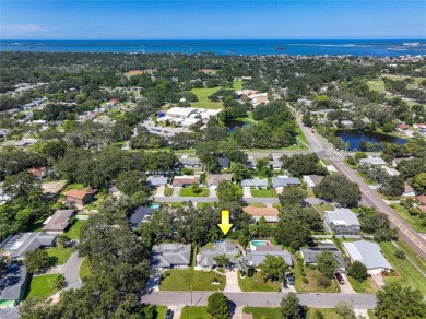 YOUR OWN PERSONAL PRIVATE PARADISE IN DELIGHTFUL DUNEDIN on The Dunedin Country Club in Florida - for sale on GolfHomes.com, golf home, golf lot