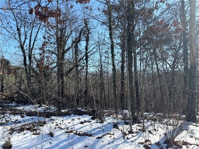 Looking to make Bella Vista your new home? Then look no further on Bella Vista Country Club - Scottsdale in Arkansas - for sale on GolfHomes.com, golf home, golf lot