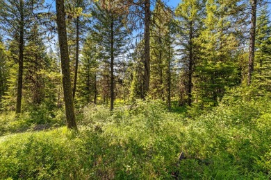 Mountain Estate lots in Jug Mountain Ranch. New homesites in on Jug Mountain Ranch Golf Course in Idaho - for sale on GolfHomes.com, golf home, golf lot
