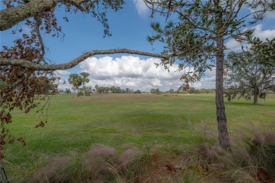 PRISTINE HOME LOCATED IN VERONA - Gated Community With Sun City on Sandpiper Golf Club in Florida - for sale on GolfHomes.com, golf home, golf lot