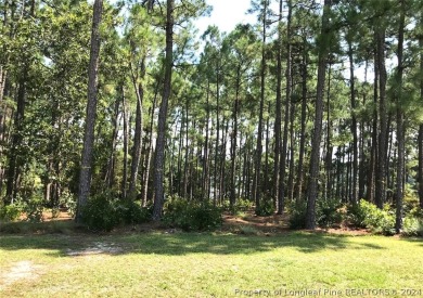 Breathtaking waterfront property within the exclusive Pinewild on Pinewild Country Club of Pinehurst in North Carolina - for sale on GolfHomes.com, golf home, golf lot