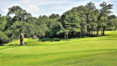 Beautiful Toscana Village lot which is one of the highest on Rock Creek Golf Club in Texas - for sale on GolfHomes.com, golf home, golf lot