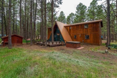 This is IT!  Spacious 2952sqft FIVE bedroom, FOUR full bath home on Angel Fire Resort Country Club in New Mexico - for sale on GolfHomes.com, golf home, golf lot