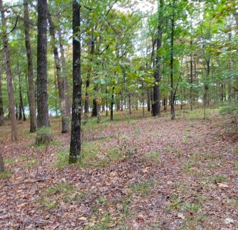 Beautiful lakefront lot in the cove of Grand Isle Subdivision on Indian Hills Country Club in Arkansas - for sale on GolfHomes.com, golf home, golf lot