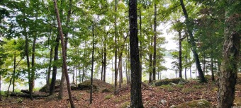 Beautiful lakefront lot in the cove of Grand Isle Subdivision on Indian Hills Country Club in Arkansas - for sale on GolfHomes.com, golf home, golf lot