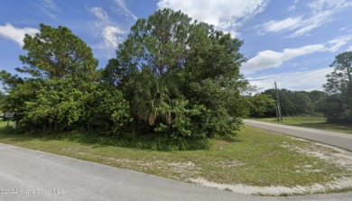 CITY WATER lot! Corner lot with Many, many new construction on Majors Golf Club At Bayside Lakes in Florida - for sale on GolfHomes.com, golf home, golf lot