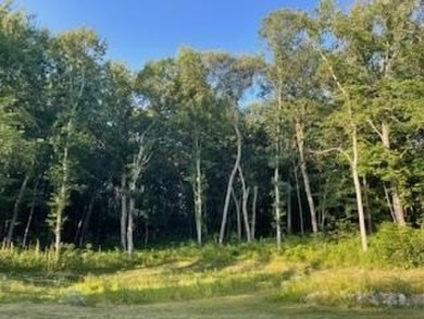 3,200 SQ FOOT OUTBUILDING CAN BE BUILT ON THIS LOT. BEAUTIFUL on Devils Head Resort and Convention Center in Wisconsin - for sale on GolfHomes.com, golf home, golf lot