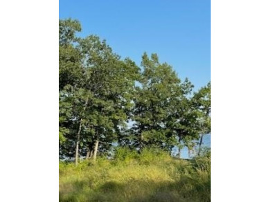 3,200 SQ FOOT OUTBUILDING CAN BE BUILT ON THIS LOT. BEAUTIFUL on Devils Head Resort and Convention Center in Wisconsin - for sale on GolfHomes.com, golf home, golf lot
