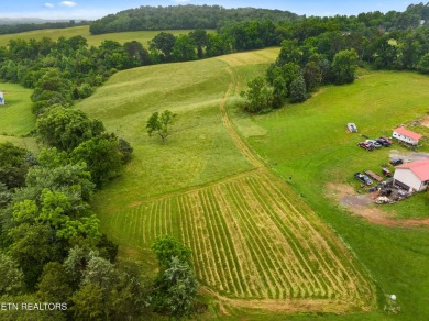 Endless possibilities await with this charming 2 bed/1 bath home on Dandridge Golf and Country Club in Tennessee - for sale on GolfHomes.com, golf home, golf lot