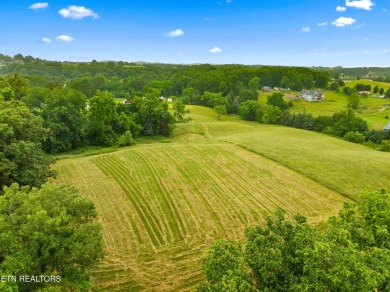 Endless possibilities await with this charming 2 bed/1 bath home on Dandridge Golf and Country Club in Tennessee - for sale on GolfHomes.com, golf home, golf lot