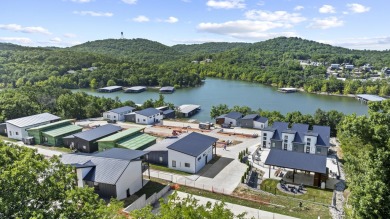 100% complete, move-in ready, fantastic Lake view! This brand on Kimberling City Golf Club in Missouri - for sale on GolfHomes.com, golf home, golf lot