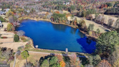 RARE GEM: Pristine Golf Course Living in Hampton Village-$125K on Hampton Golf Village in Georgia - for sale on GolfHomes.com, golf home, golf lot