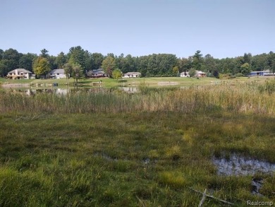 Discover your own slice of paradise with this wooded waterfront on Canadian Lakes Country Club-The Royal Course in Michigan - for sale on GolfHomes.com, golf home, golf lot