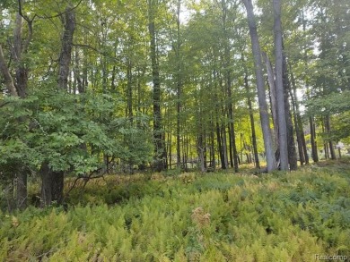 Discover your own slice of paradise with this wooded waterfront on Canadian Lakes Country Club-The Royal Course in Michigan - for sale on GolfHomes.com, golf home, golf lot