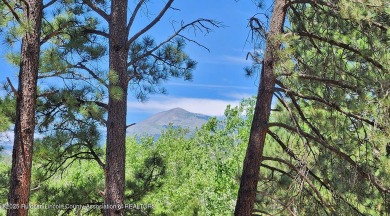 TURN-KEY CONDO READY FOR NIGHTLY RENTALS! THIS STYLISHLY on Links at Sierra Blanca in New Mexico - for sale on GolfHomes.com, golf home, golf lot