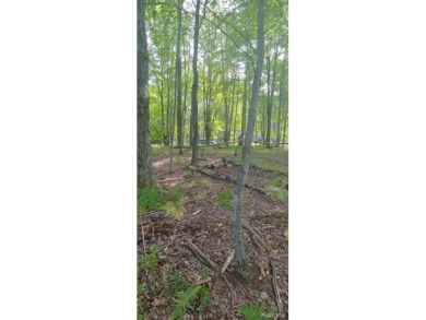 Discover your own slice of paradise with this wooded waterfront on Canadian Lakes Country Club-The Royal Course in Michigan - for sale on GolfHomes.com, golf home, golf lot