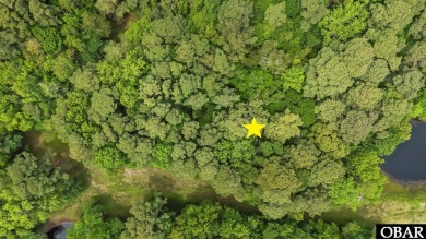 Outstanding Opportunity to own a large wooded building SITE in on Seascape Golf Links in North Carolina - for sale on GolfHomes.com, golf home, golf lot