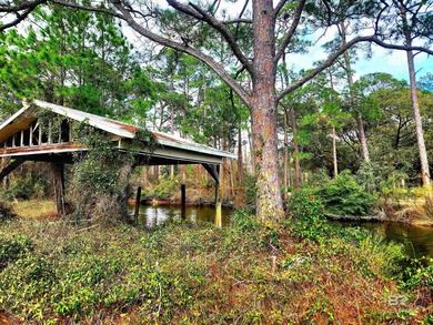 Approx. 300' Lagoon waterfront! This property is ideal!  2 lots on Peninsula Golf and Racquet Club in Alabama - for sale on GolfHomes.com, golf home, golf lot