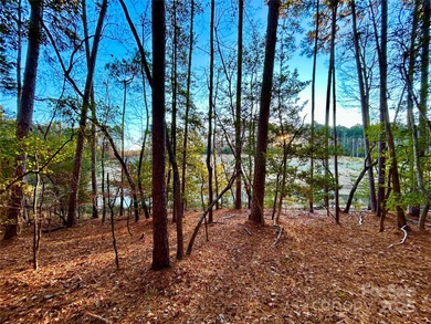 Build your dream home on this incredible lot overlooking the on The Tillery Tradition Country Club in North Carolina - for sale on GolfHomes.com, golf home, golf lot