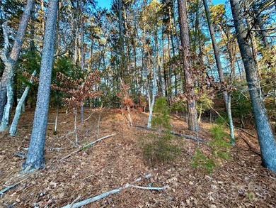 Build your dream home on this incredible lot overlooking the on The Tillery Tradition Country Club in North Carolina - for sale on GolfHomes.com, golf home, golf lot