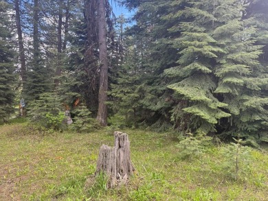 DESIRABLE ROYAL SCOT location next to Tamarack Resort.  1/2 acre on Osprey Meadows at Tamarack Resort in Idaho - for sale on GolfHomes.com, golf home, golf lot