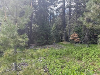 DESIRABLE ROYAL SCOT location next to Tamarack Resort.  1/2 acre on Osprey Meadows at Tamarack Resort in Idaho - for sale on GolfHomes.com, golf home, golf lot