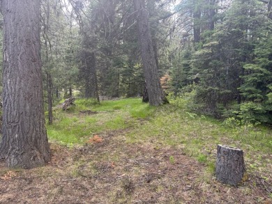 DESIRABLE ROYAL SCOT location next to Tamarack Resort.  1/2 acre on Osprey Meadows at Tamarack Resort in Idaho - for sale on GolfHomes.com, golf home, golf lot