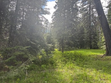 DESIRABLE ROYAL SCOT location next to Tamarack Resort.  1/2 acre on Osprey Meadows at Tamarack Resort in Idaho - for sale on GolfHomes.com, golf home, golf lot