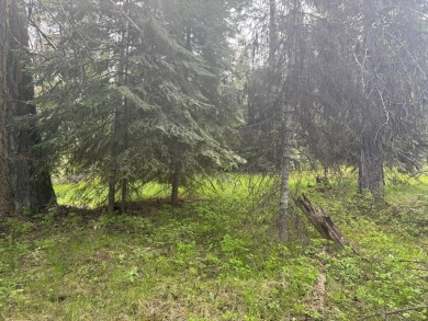 DESIRABLE ROYAL SCOT location next to Tamarack Resort.  1/2 acre on Osprey Meadows at Tamarack Resort in Idaho - for sale on GolfHomes.com, golf home, golf lot