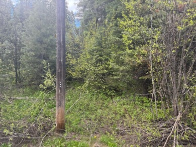 DESIRABLE ROYAL SCOT location next to Tamarack Resort.  1/2 acre on Osprey Meadows at Tamarack Resort in Idaho - for sale on GolfHomes.com, golf home, golf lot