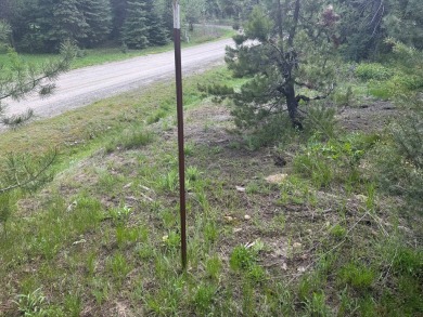 DESIRABLE ROYAL SCOT location next to Tamarack Resort.  1/2 acre on Osprey Meadows at Tamarack Resort in Idaho - for sale on GolfHomes.com, golf home, golf lot