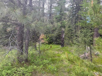 DESIRABLE ROYAL SCOT location next to Tamarack Resort.  1/2 acre on Osprey Meadows at Tamarack Resort in Idaho - for sale on GolfHomes.com, golf home, golf lot
