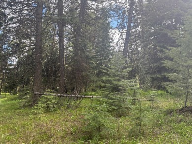 DESIRABLE ROYAL SCOT location next to Tamarack Resort.  1/2 acre on Osprey Meadows at Tamarack Resort in Idaho - for sale on GolfHomes.com, golf home, golf lot