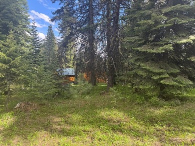 DESIRABLE ROYAL SCOT location next to Tamarack Resort.  1/2 acre on Osprey Meadows at Tamarack Resort in Idaho - for sale on GolfHomes.com, golf home, golf lot