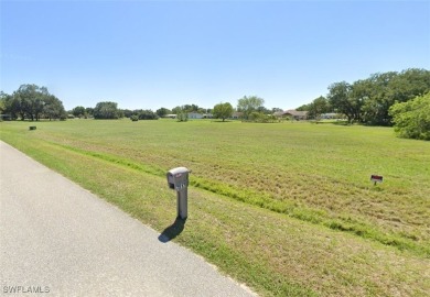Don't miss this opportunity to own a spacious residential lot in on Spring Lake Golf Resort in Florida - for sale on GolfHomes.com, golf home, golf lot