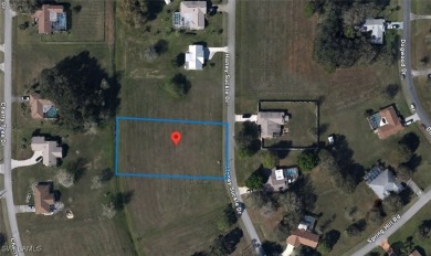 Don't miss this opportunity to own a spacious residential lot in on Spring Lake Golf Resort in Florida - for sale on GolfHomes.com, golf home, golf lot