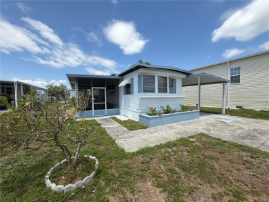 WATERFRONT Opportunity in Caribbean Isles Residential on Apollo Beach Golf and Sea Club in Florida - for sale on GolfHomes.com, golf home, golf lot