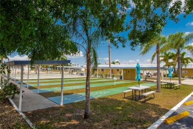 Waterfront Opportunity in Caribbean Isles - Dreaming of life on on Apollo Beach Golf and Sea Club in Florida - for sale on GolfHomes.com, golf home, golf lot
