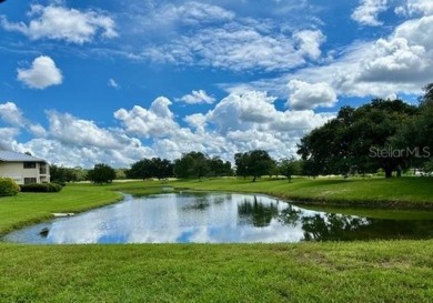 The Community has a 24/7 staffed gate guard which make this an on Saddlebrook Golf and Country Club in Florida - for sale on GolfHomes.com, golf home, golf lot