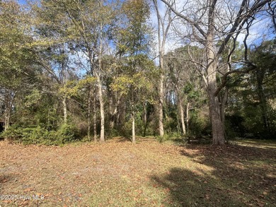 Charming Starter Home or Cozy Getaway! Welcome to this on Minnesott Golf and Country Club in North Carolina - for sale on GolfHomes.com, golf home, golf lot